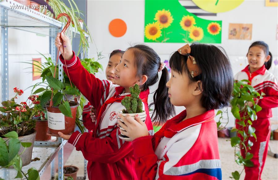 #CHINA-INNER MONGOLIA-CLASSROOM-PLANTS(CN)