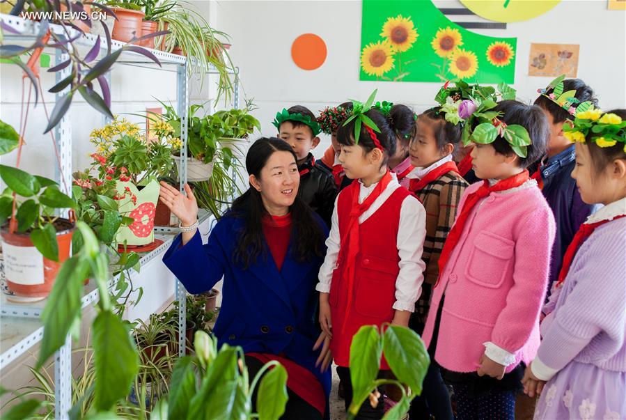 #CHINA-INNER MONGOLIA-CLASSROOM-PLANTS(CN)