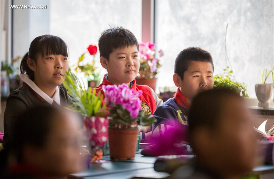 #CHINA-INNER MONGOLIA-CLASSROOM-PLANTS(CN)