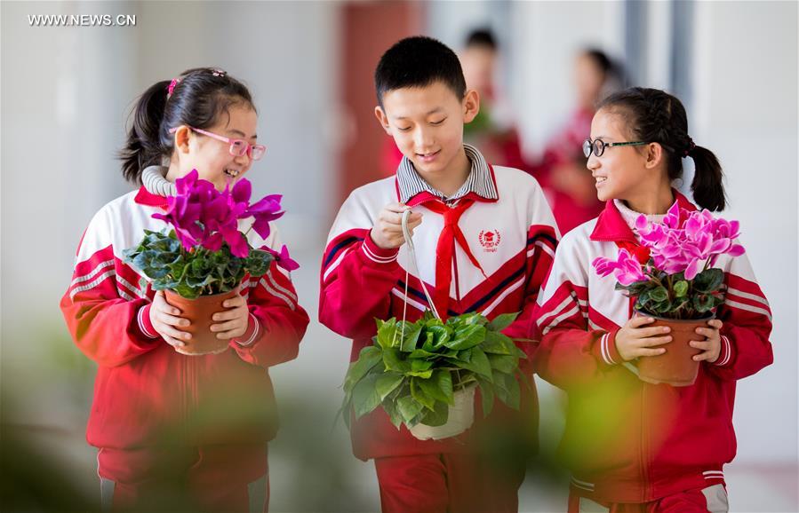 #CHINA-INNER MONGOLIA-CLASSROOM-PLANTS(CN)