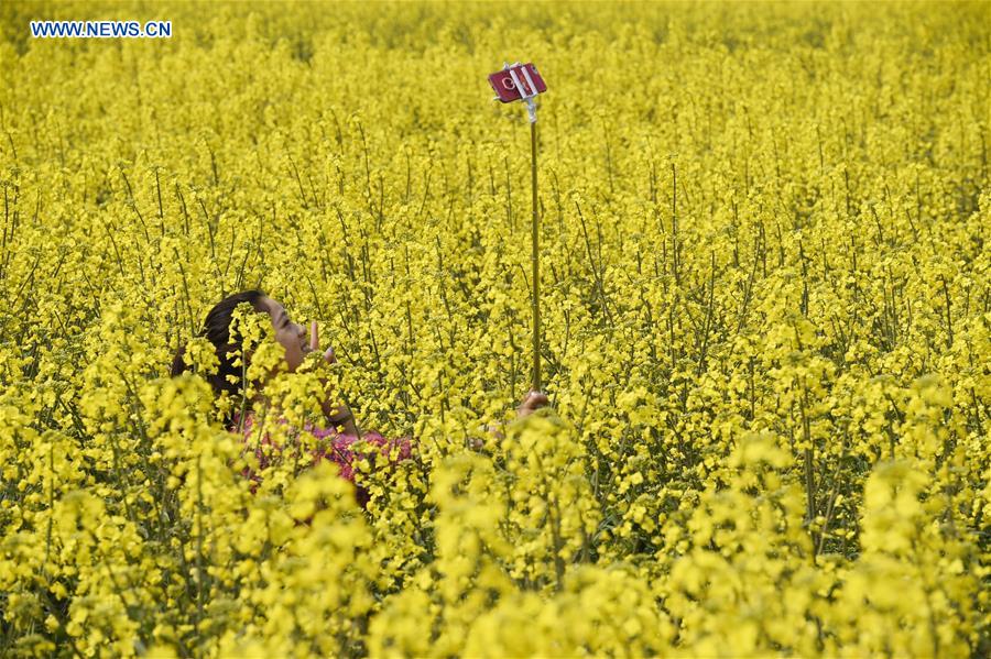 CHINA-SICHUAN-RAPE FLOWER-TOURISM (CN)