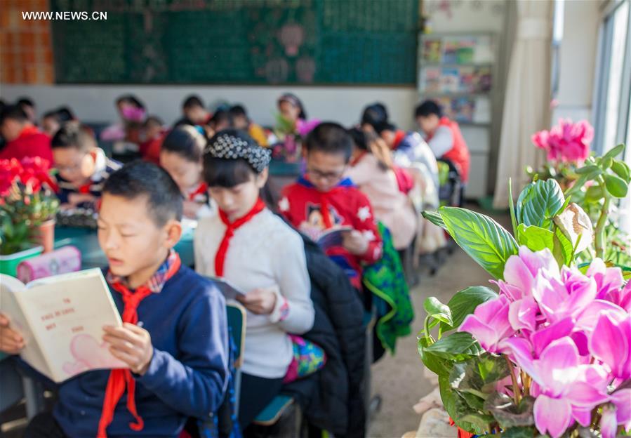 #CHINA-INNER MONGOLIA-CLASSROOM-PLANTS(CN)