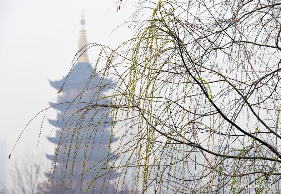 #CHINA-SPRING SCENERY (CN)