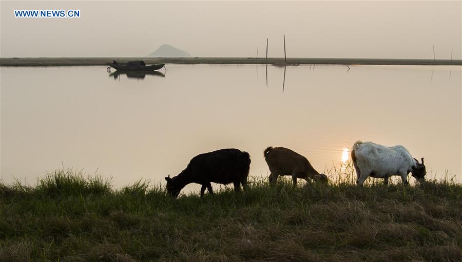 #CHINA-JIANGXI-POYANG LAKE-DRY SEASON (CN)