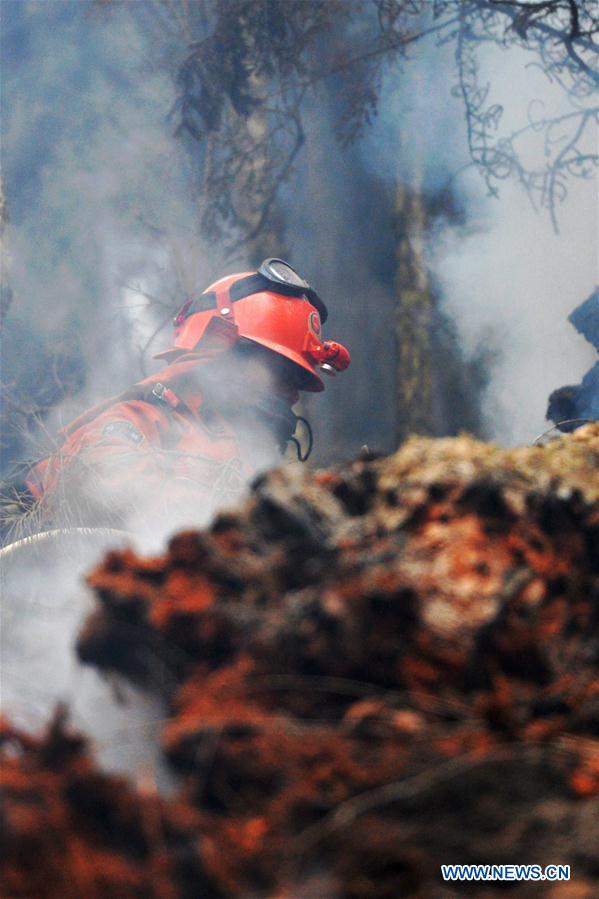 CHINA-GANSU-FOREST FIRE(CN)