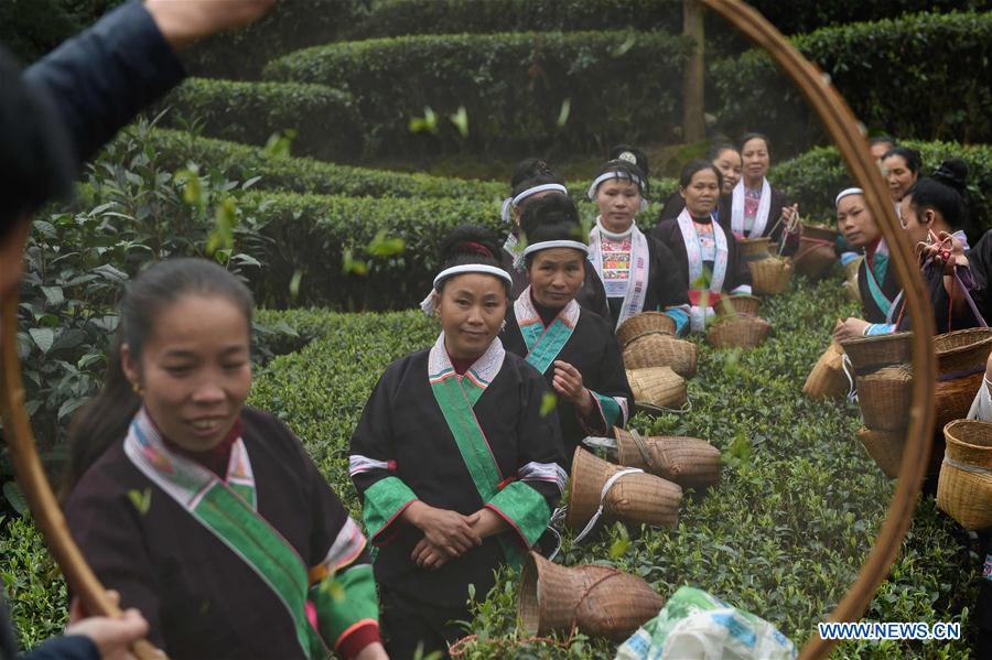 Women of the Dong ethnic group take part in a tea leaves picking contest in Zaigaolu Village of Yangxi Township in Sanjiang Dong Autonomous County, south China's Guangxi Zhuang Autonomous Region, March 9, 2016. 