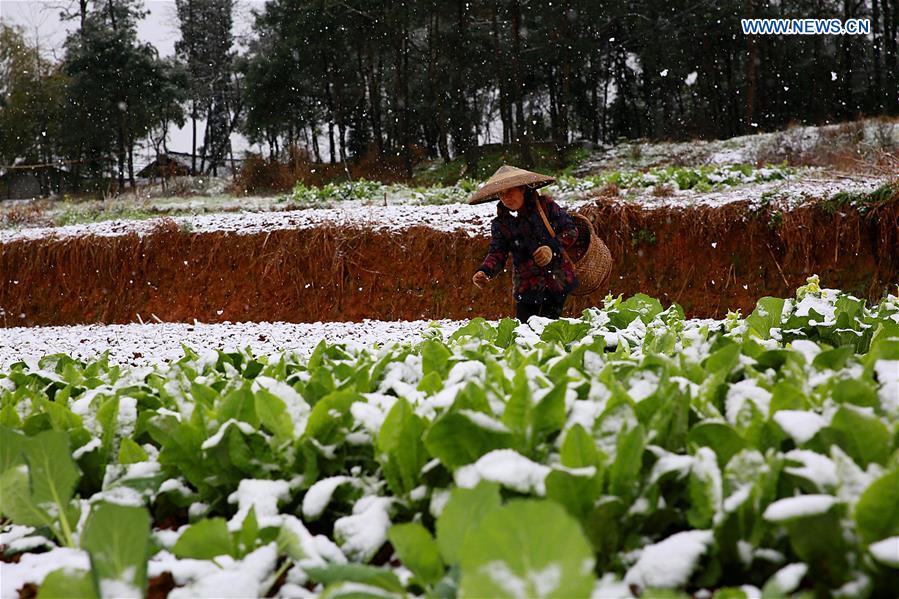 #CHINA-WEATHER-COLD ALERT(CN)