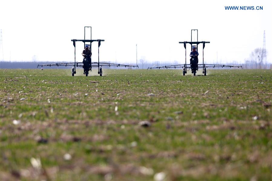 #CHINA-HEBEI-SPRING-FARMING (CN)