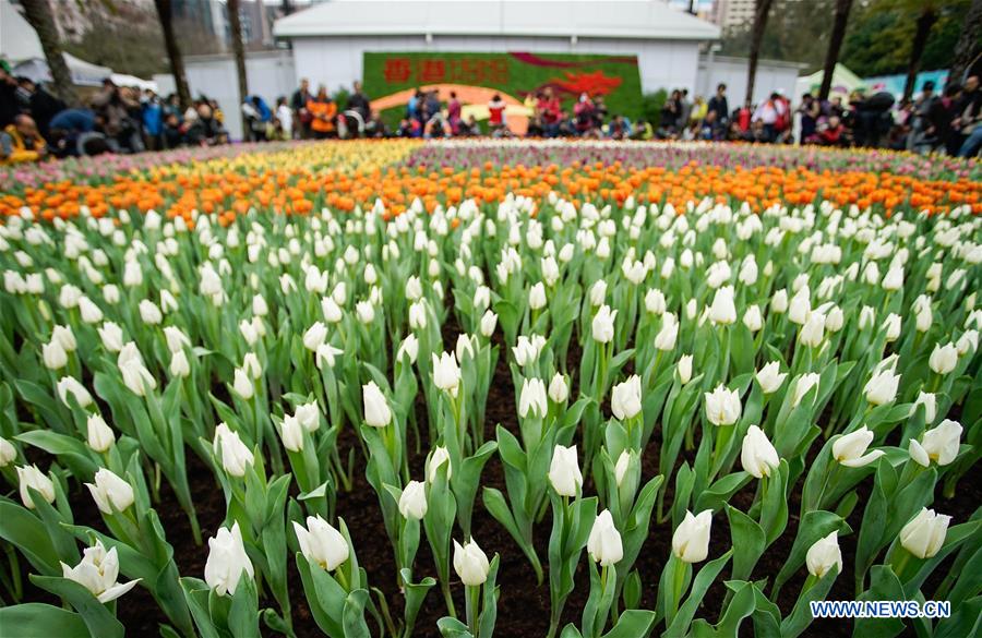 CHINA-HONG KONG-FLOWER EXHIBITION(CN)