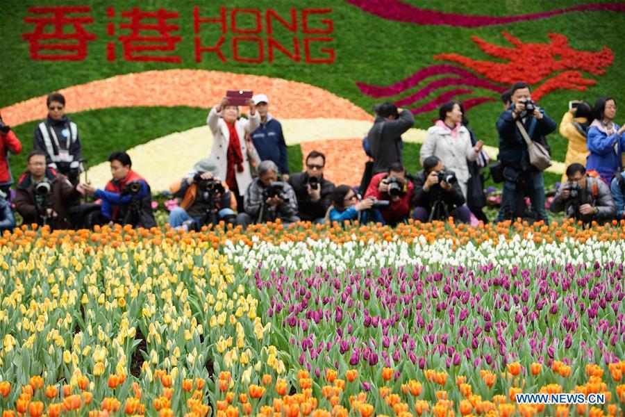 CHINA-HONG KONG-FLOWER EXHIBITION(CN)