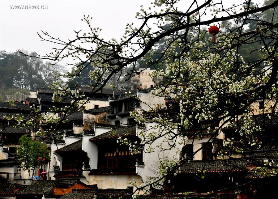 #CHINA-SPRING-SCENERY(CN)