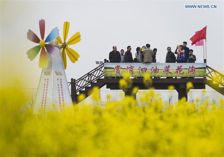 CHINA-HUBEI-WUHAN-RAPE FLOWERS(CN)