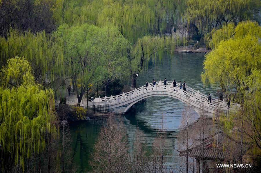 CHINA-JINAN-DAMING LAKE-SCENERY (CN)