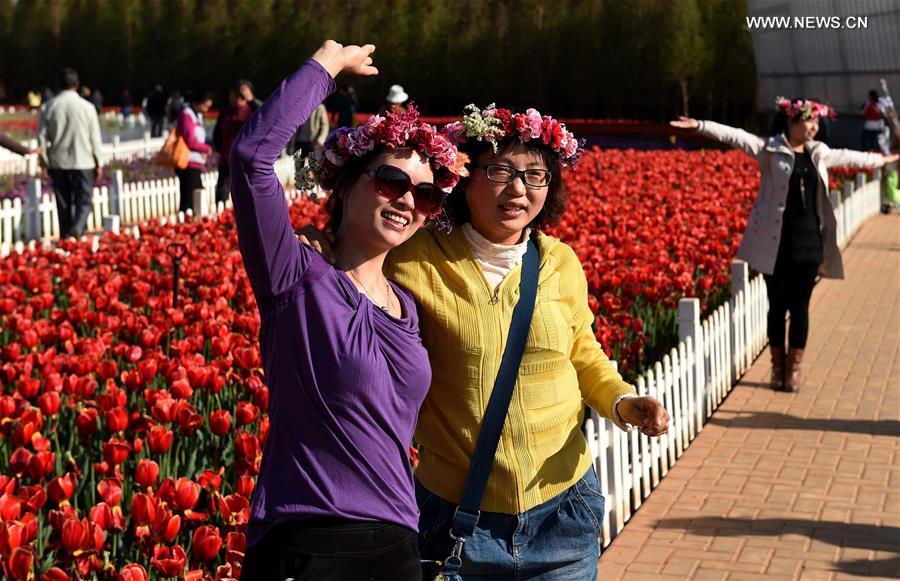 CHINA-YUNNAN-KUNMING-TULIPS(CN)