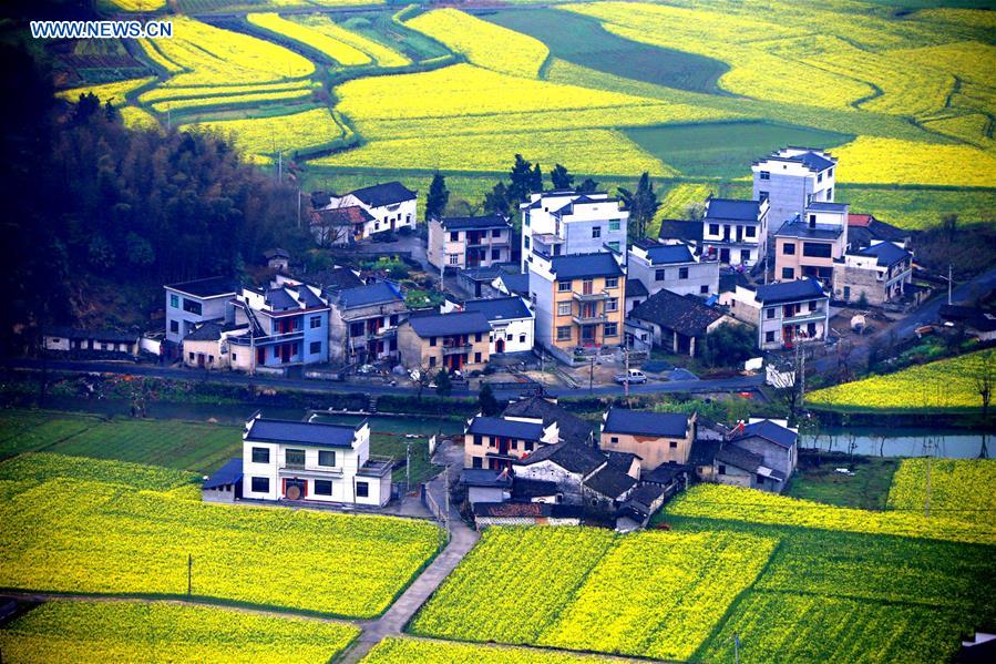 #CHINA-ANHUI-HUANGSHAN-SCENERY (CN)