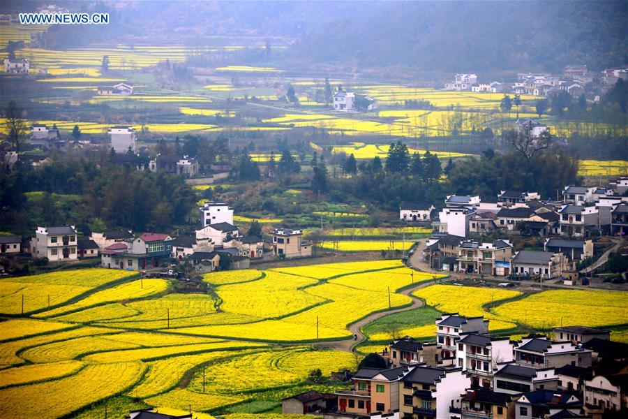 #CHINA-ANHUI-HUANGSHAN-SCENERY (CN)