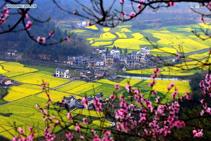 #CHINA-ANHUI-HUANGSHAN-SCENERY (CN)