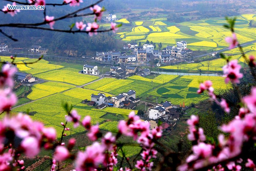 #CHINA-ANHUI-HUANGSHAN-SCENERY (CN)