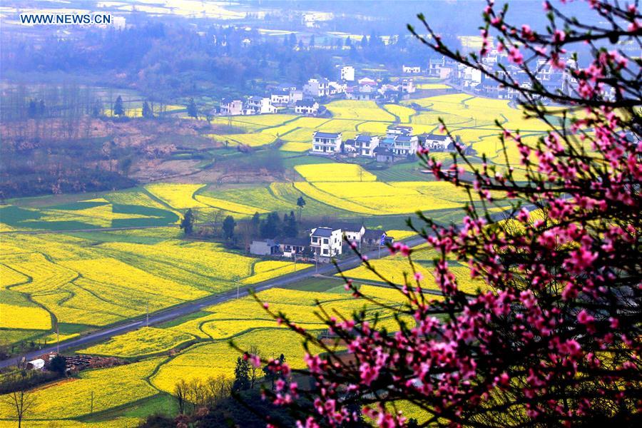 #CHINA-ANHUI-HUANGSHAN-SCENERY (CN)