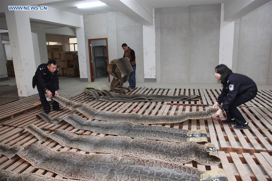 #CHINA-HAINAN-CUSTOMS-PYTHON SKIN SMUGGLING (CN)