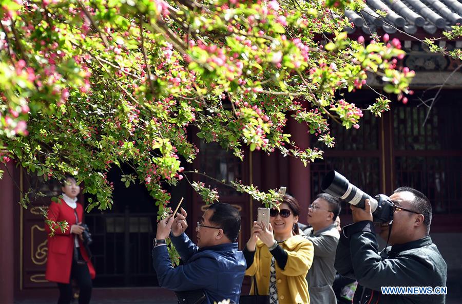Visitors take photo of crabapple flowers at Rong Mansion in Zhengding County of Shijiazhuang City, north China's Hebei Province, March 29, 2016.