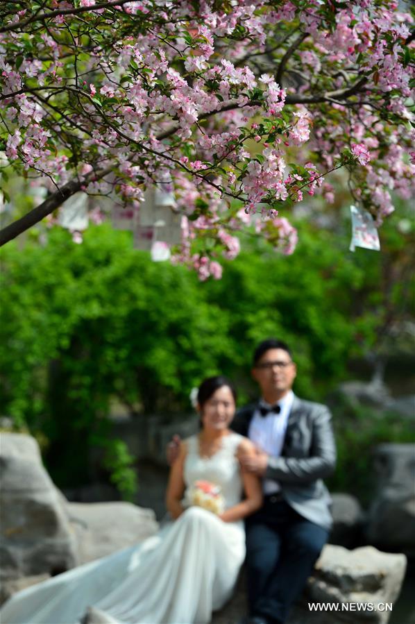 CHINA-JINAN-CRABAPPLE FLOWERS (CN)  