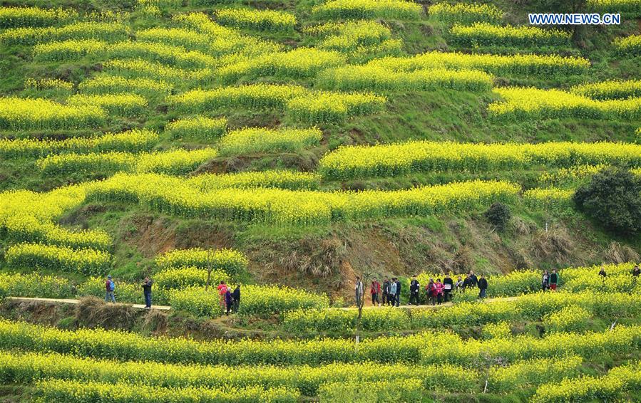 CHINA-JIANGXI-WUYUAN-HUANGLING SCENIC SPOT(CN)