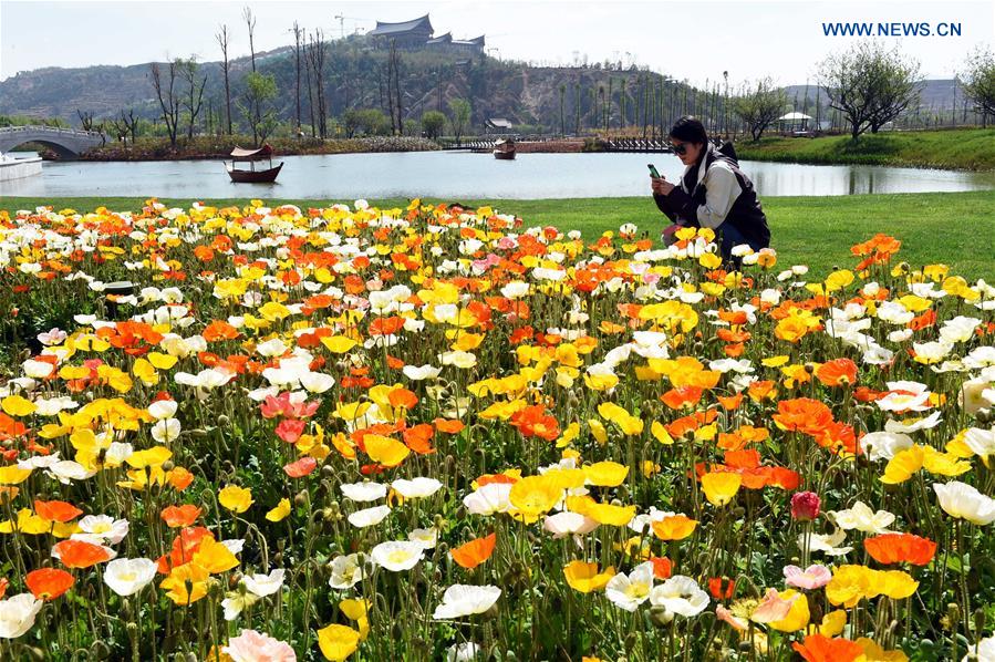 CHINA-YUNNAN-KUNMING-SCENERY (CN)