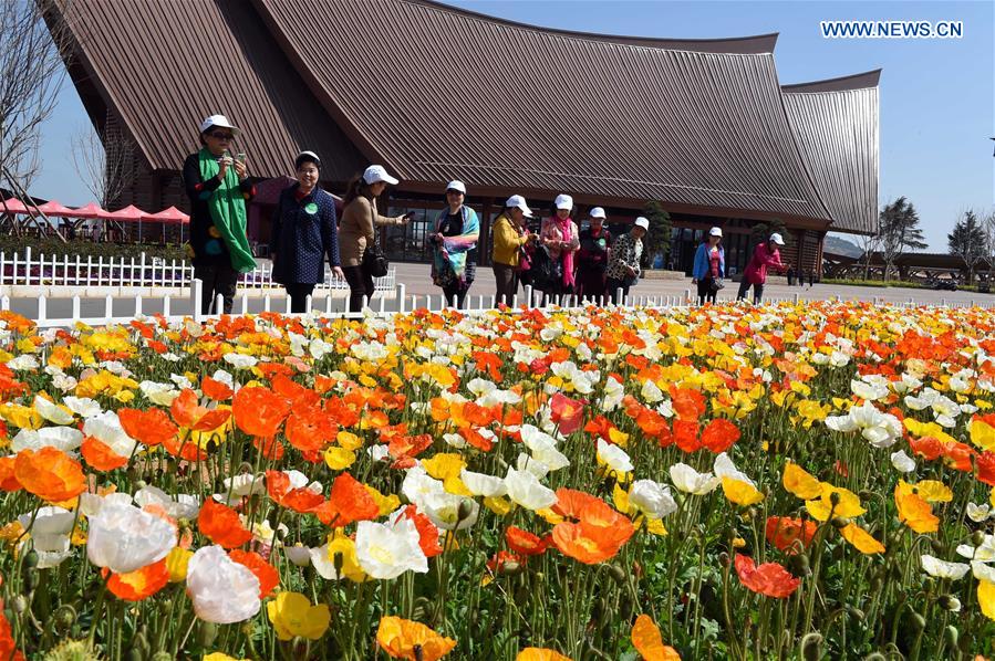 CHINA-YUNNAN-KUNMING-SCENERY (CN)