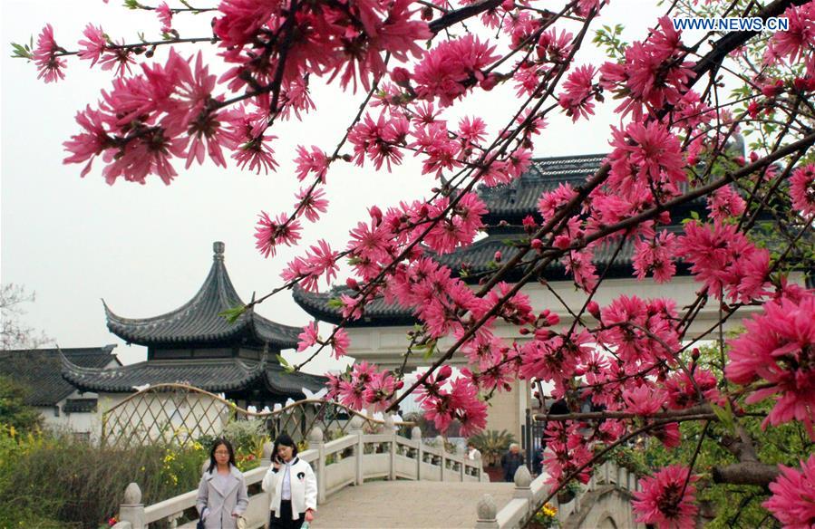 #CHINA-JIANGSU-SUZHOU-SPRING SCENERY (CN)