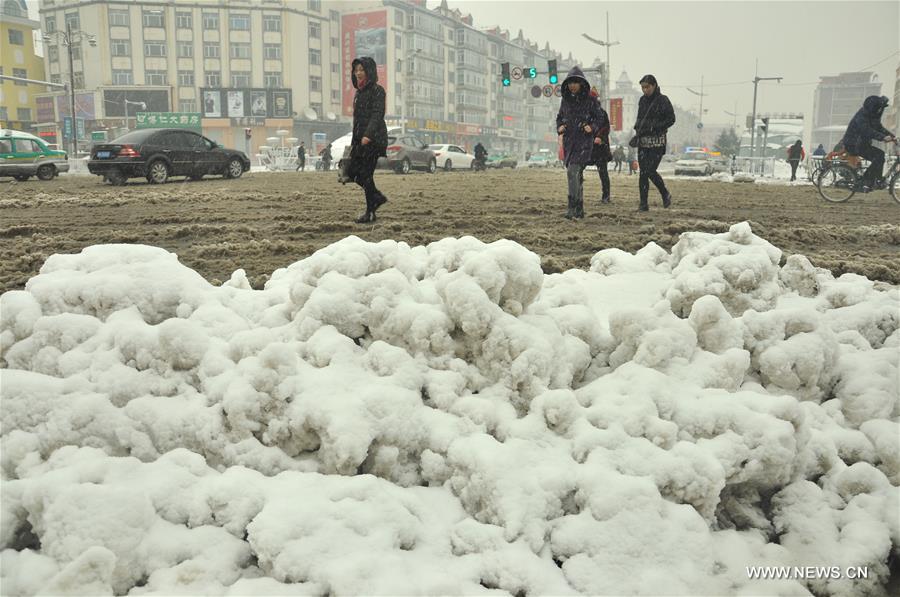 #CHINA-INNER MONGOLIA-HOLONBUYR-SNOW(CN)