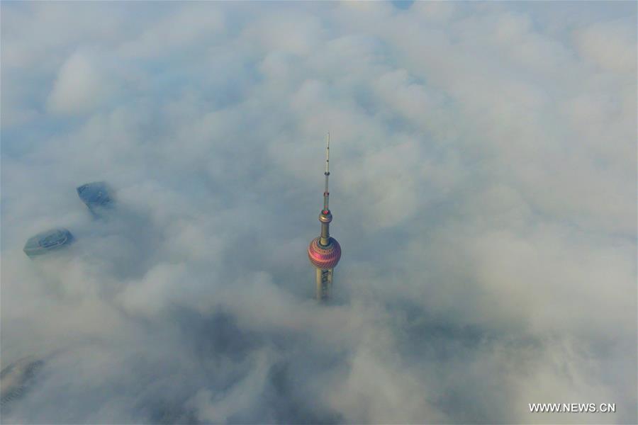 #CHINA-SHANGHAI-FOG(CN)