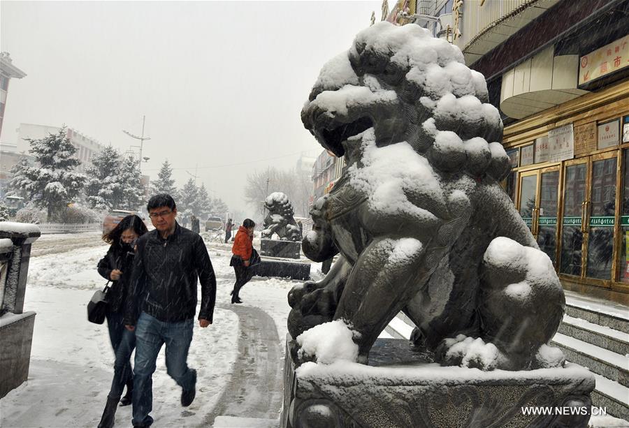 #CHINA-INNER MONGOLIA-HOLONBUYR-SNOW(CN)