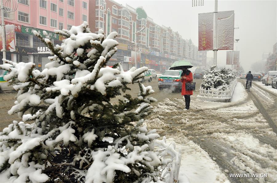 #CHINA-INNER MONGOLIA-HOLONBUYR-SNOW(CN)