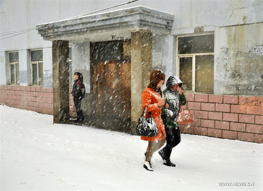 #CHINA-INNER MONGOLIA-HOLONBUYR-SNOW(CN)