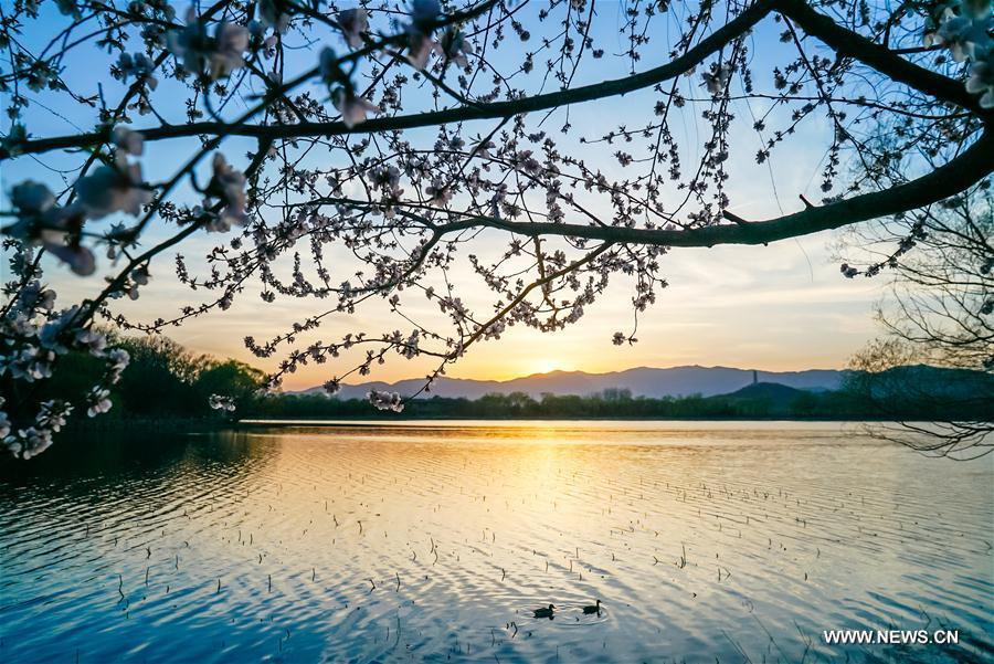 WEEKLY CHOICES OF XINHUA PHOTO 