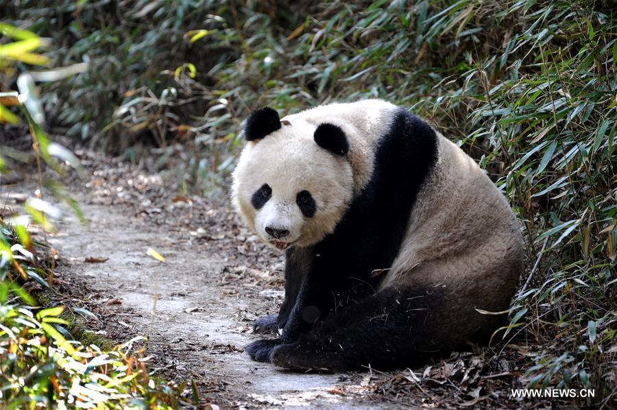 WEEKLY CHOICES OF XINHUA PHOTO 