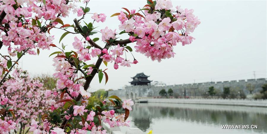 WEEKLY CHOICES OF XINHUA PHOTO 