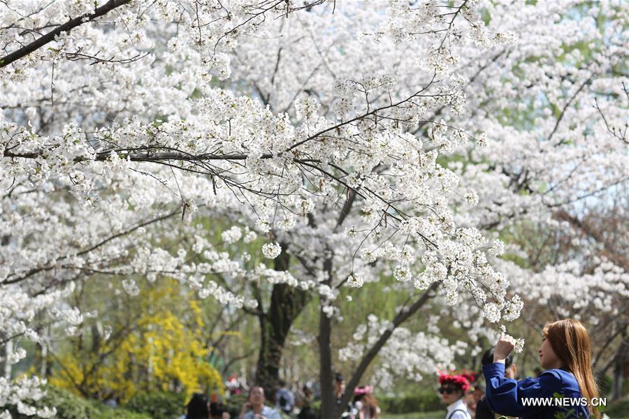 WEEKLY CHOICES OF XINHUA PHOTO 