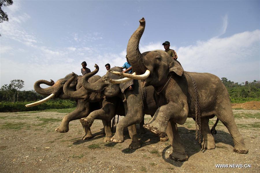 WEEKLY CHOICES OF XINHUA PHOTO 