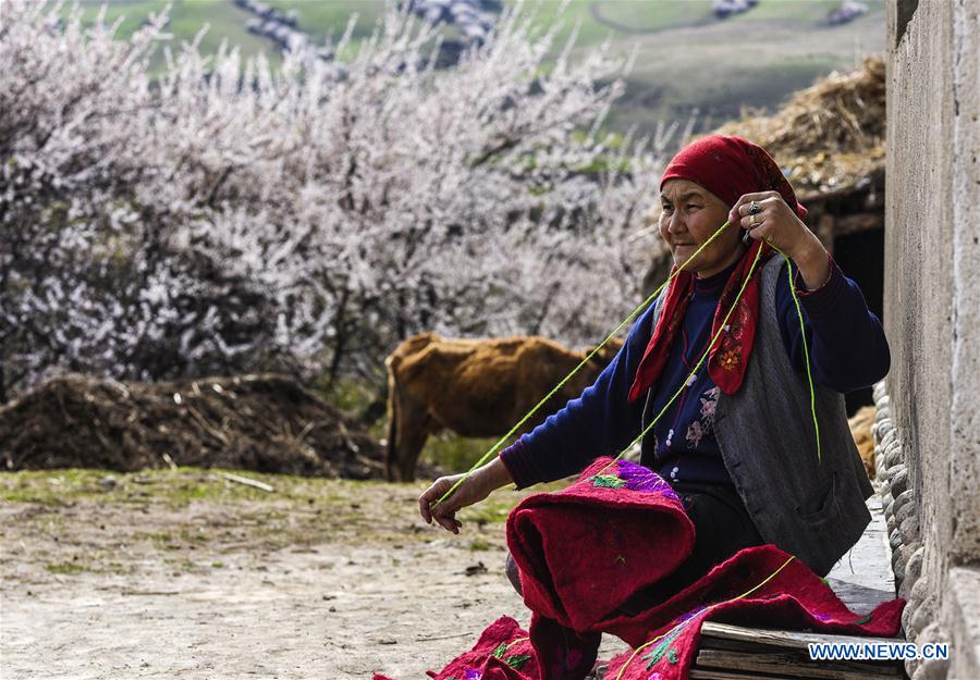 CHINA-XINJIANG-ALMOND FLOWERS(CN)