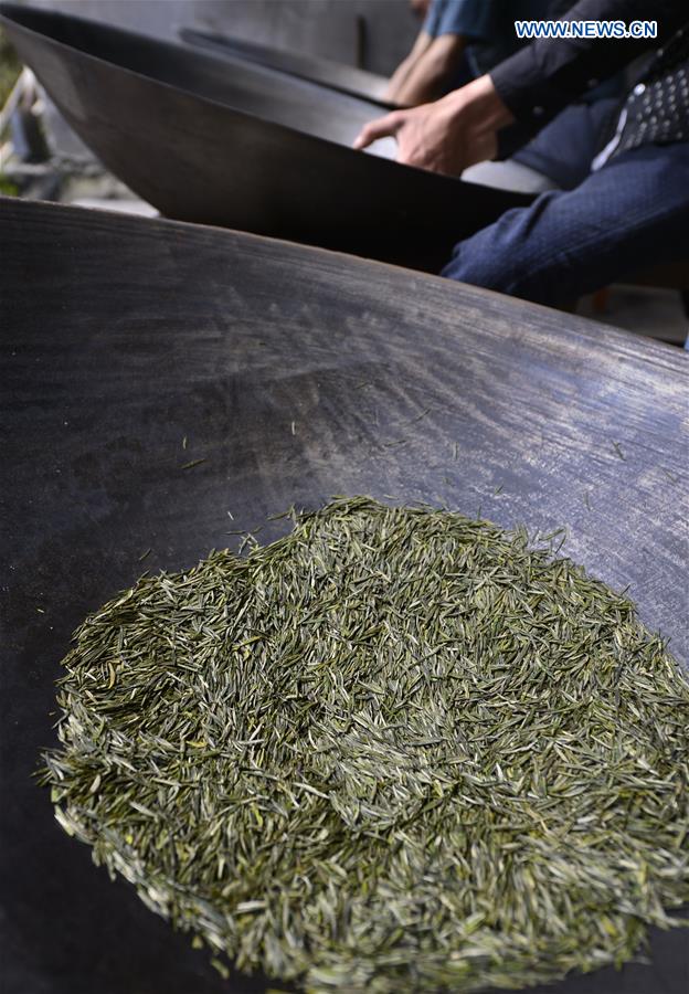 #CHINA-HUBEI-TEA MAKING (CN)