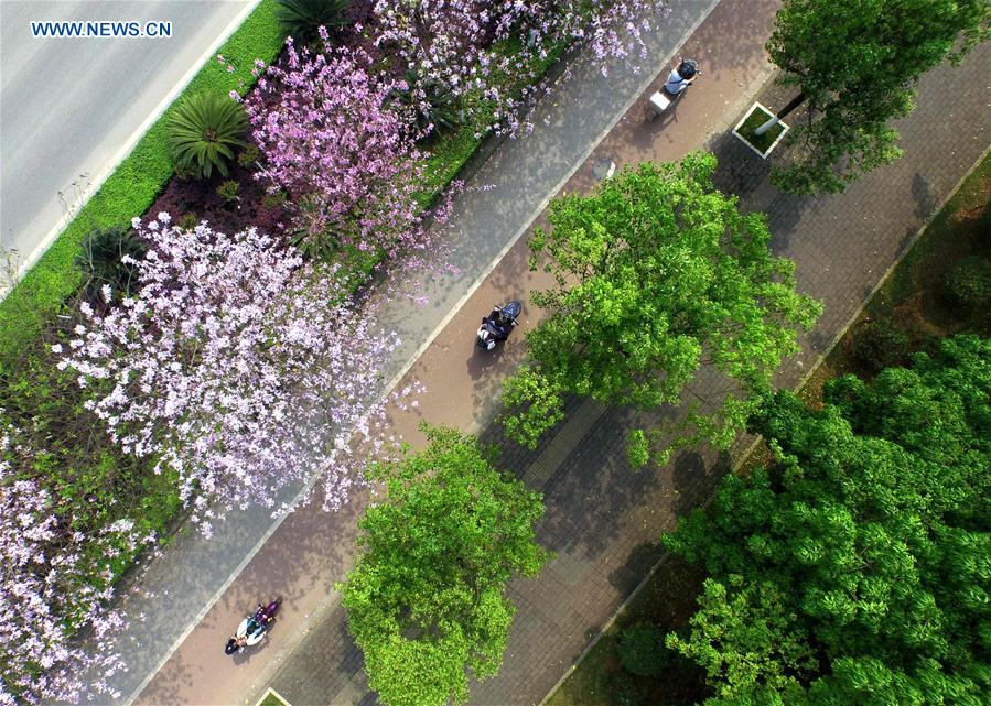 Citizens ride in Liuzhou, south China's Guangxi Zhuang Autonomous Region, April 9, 2016.