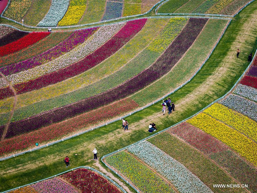 WEEKLY CHOICES OF XINHUA PHOTO