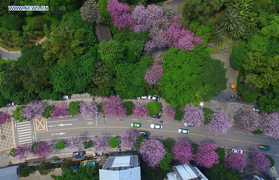 Vehicles move on a street in Liuzhou, south China's Guangxi Zhuang Autonomous Region, April 9, 2016.