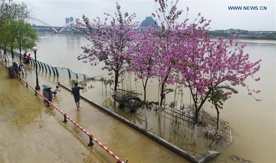 Local residents go fishing along a city street in flood in Liuzhou, south China's Guangxi Zhuang Autonomous Region, April 11, 2016. 