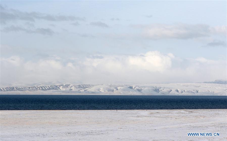 CHINA-QINGHAI LAKE-ANIMALS (CN)