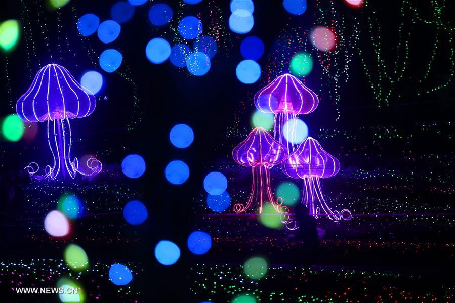 #CHINA-JIANGSU-NANTONG-COLORFUL LIGHTS (CN)