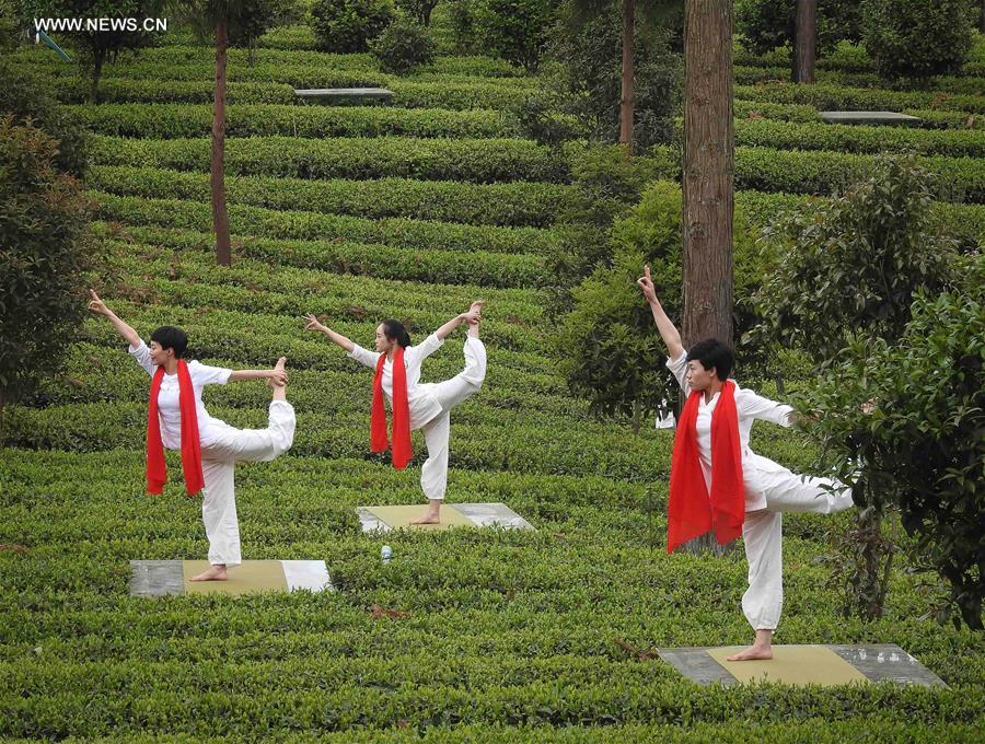 #CHINA-GUIZHOU-TEA CULTURAL FESTIVAL (CN)