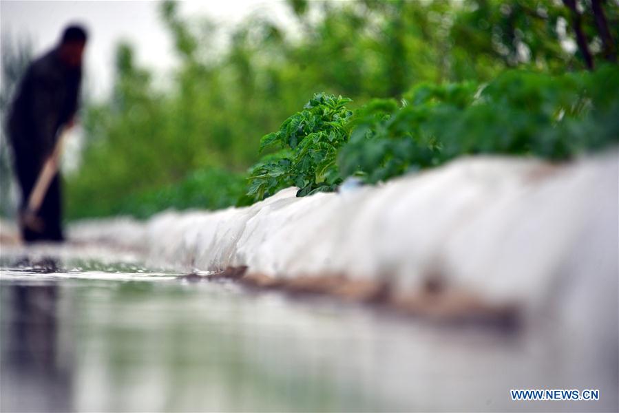 #CHINA-FARMERS-GUYU-PLANTING (CN) 